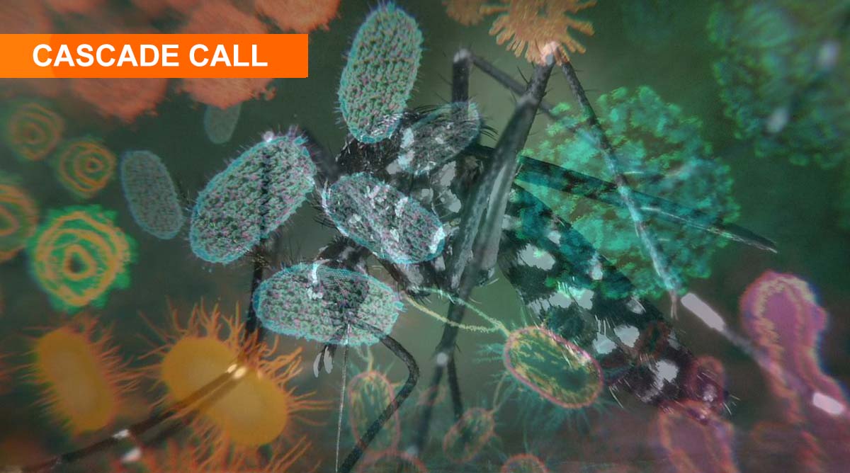 (PRE-ANNOUNCEMENT) Cascade Open Call 2023 for Research Node 2 - THE MICROBIOTA AND PATHOBIOTA OF INSECT VECTORS OF EMERGING INFECTIONS: IMPLICATIONS FOR DISEASE TRANSMISSION, ENVIRONMENTAL ADAPTATION, AND INSECT CONTROL