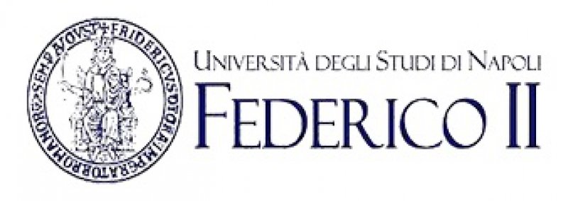 Università degli Studi di Napoli "Federico II"