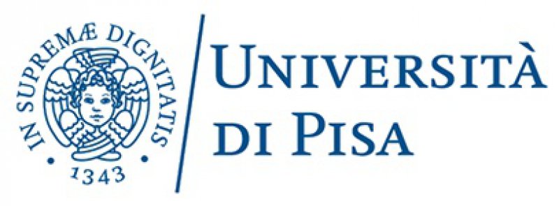 Università degli Studi di Pisa