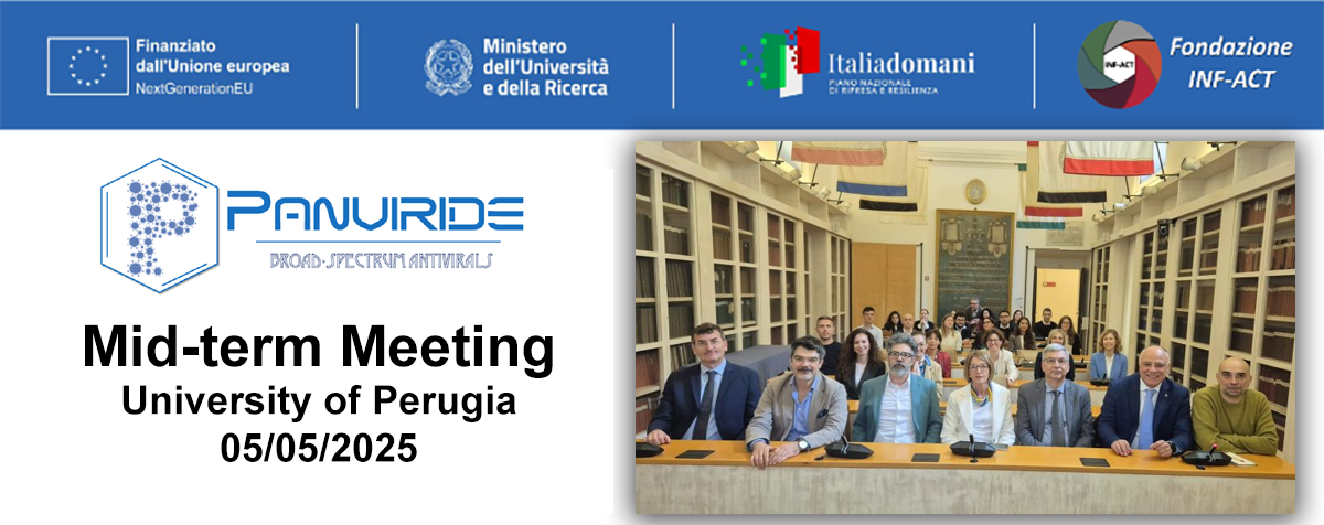 Meeting Mid-Term di Progetto PANVIRIDE